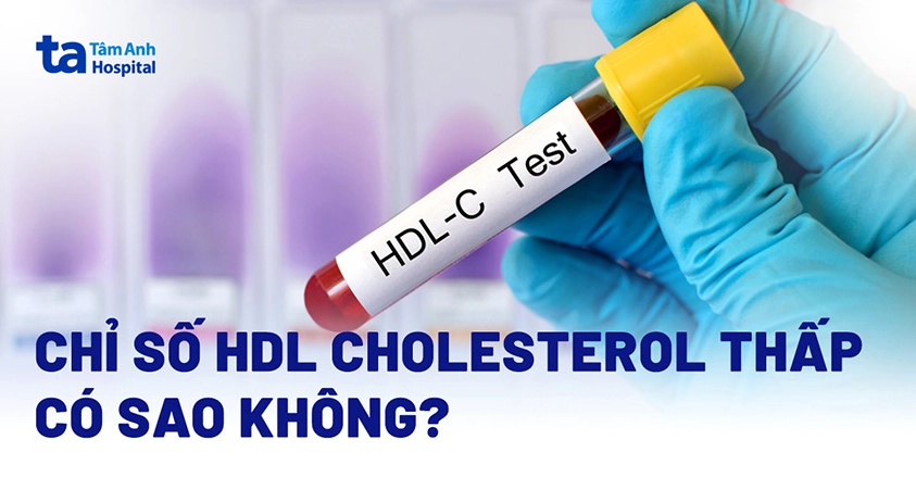 Chỉ số HDL cholesterol thấp là gì? Ảnh hưởng sức khỏe ra sao?