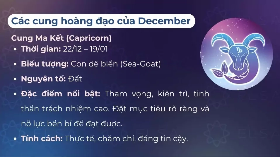 Cung Ma Kết (22/12 - 19/01) thuộc nhóm cung hoàng đạo của tháng 12