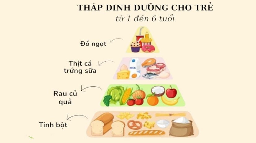 Đặc điểm tháp dinh dưỡng cho trẻ từ 1 đến 6 tuổi