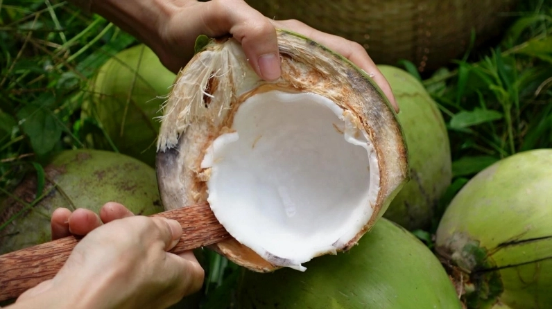 Dị ứng dừa là chống chỉ định ăn cùi dừa