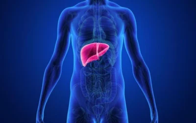 Gan nhiễm mỡ độ 1: Ăn gì, kiêng gì để hồi phục nhanh chóng?