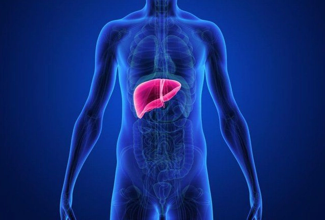 Gan nhiễm mỡ độ 1: Ăn gì, kiêng gì để hồi phục nhanh chóng?