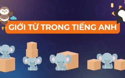 Giải mã Các Giới Từ Tiếng Anh: Chinh Phục Ngữ Pháp Dễ Dàng
