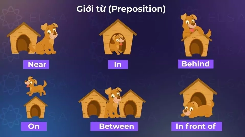 Giới từ diễn tả mối tương quan về thời gian, hoàn cảnh hoặc vị trí của sự vật
