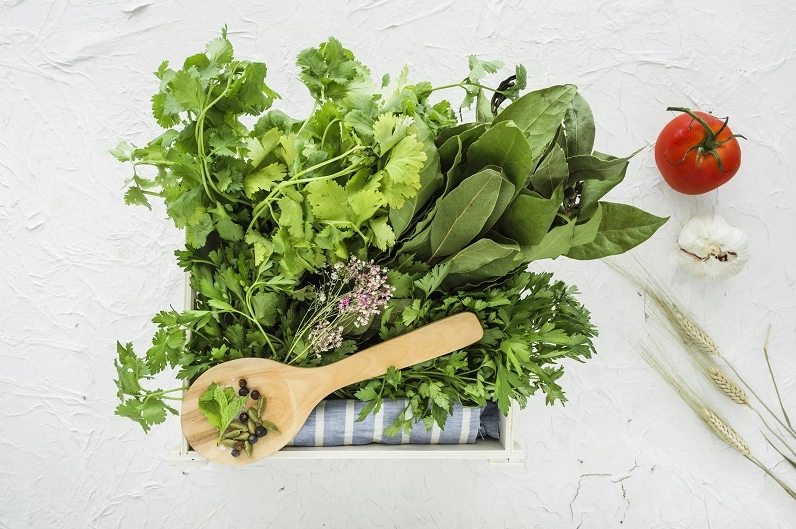 Hạn chế ăn rau sống để phòng ngừa giun đũa chó
