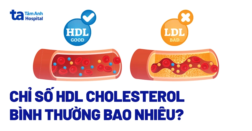 HDL cholesterol