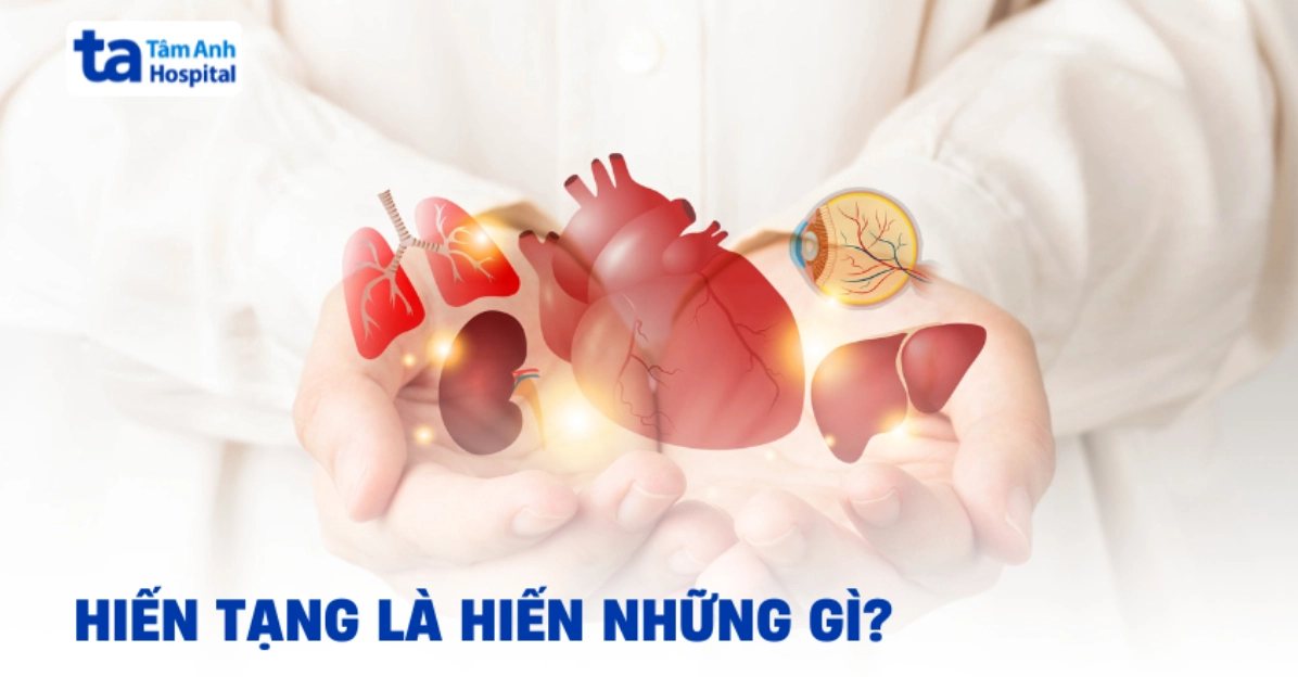 Hiến tạng là gì?.
