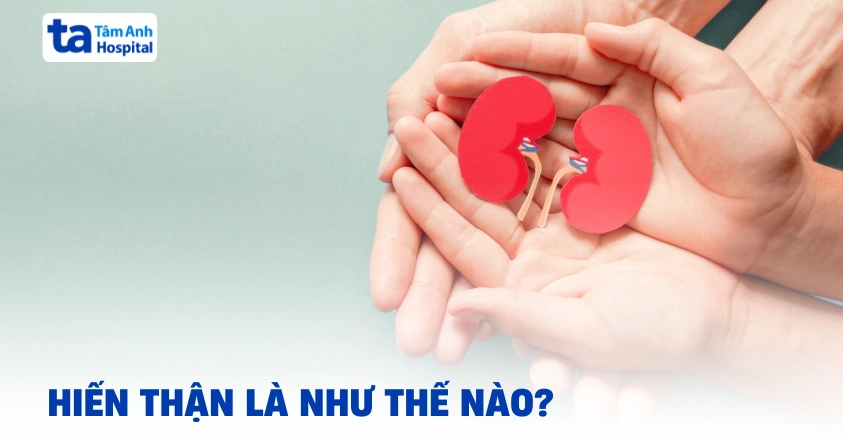 Hiến thận và thông tin cần biết