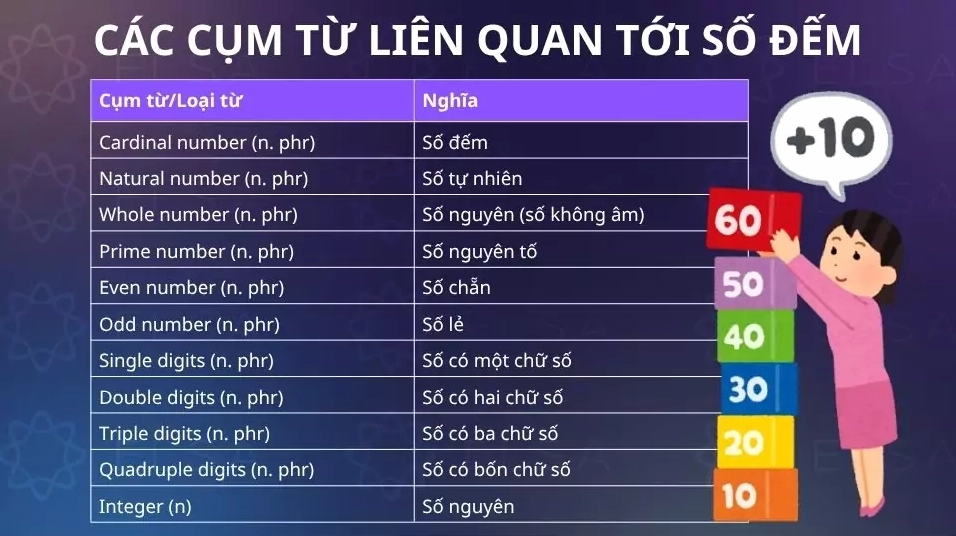 Hình ảnh minh họa các cụm từ liên quan tới số đếm trong tiếng Anh