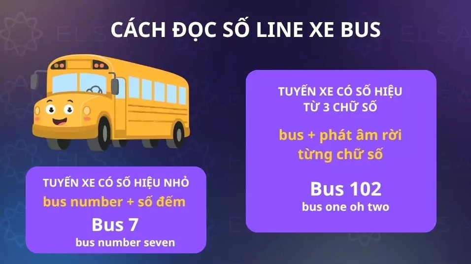 Hình ảnh minh họa cách đọc số line xe bus trong tiếng Anh