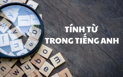 Khám phá ‘Tính từ trong tiếng Anh’: Cẩm nang đầy đủ và chi tiết nhất 2026