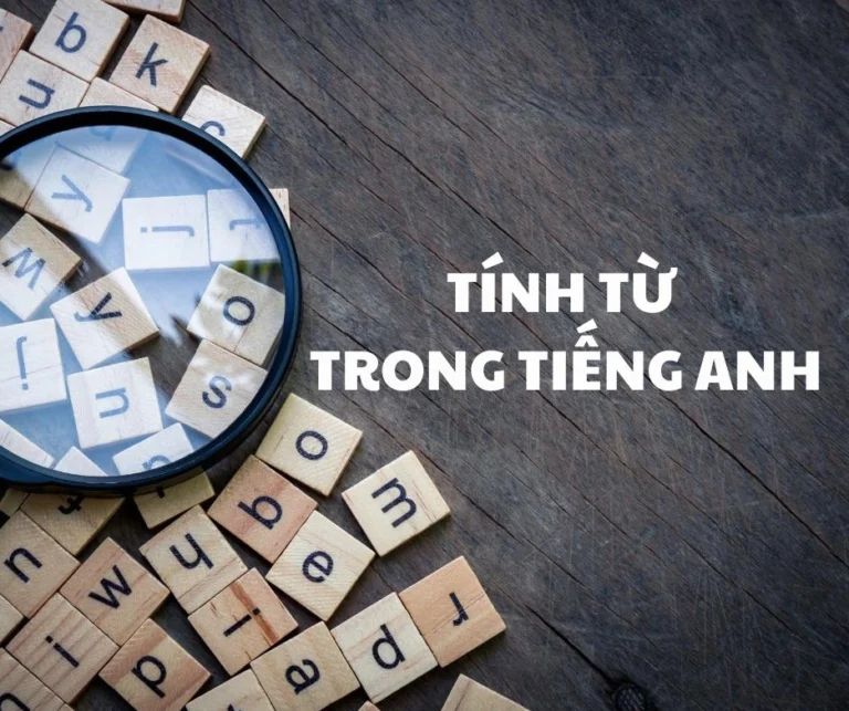 Khám phá ‘Tính từ trong tiếng Anh’: Cẩm nang đầy đủ và chi tiết nhất 2026