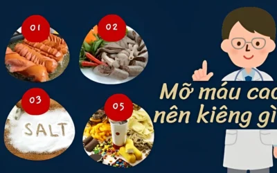 Mỡ Máu Cao Nên Kiêng Ăn Gì? Danh Sách Thực Phẩm Cần Tránh Ngay