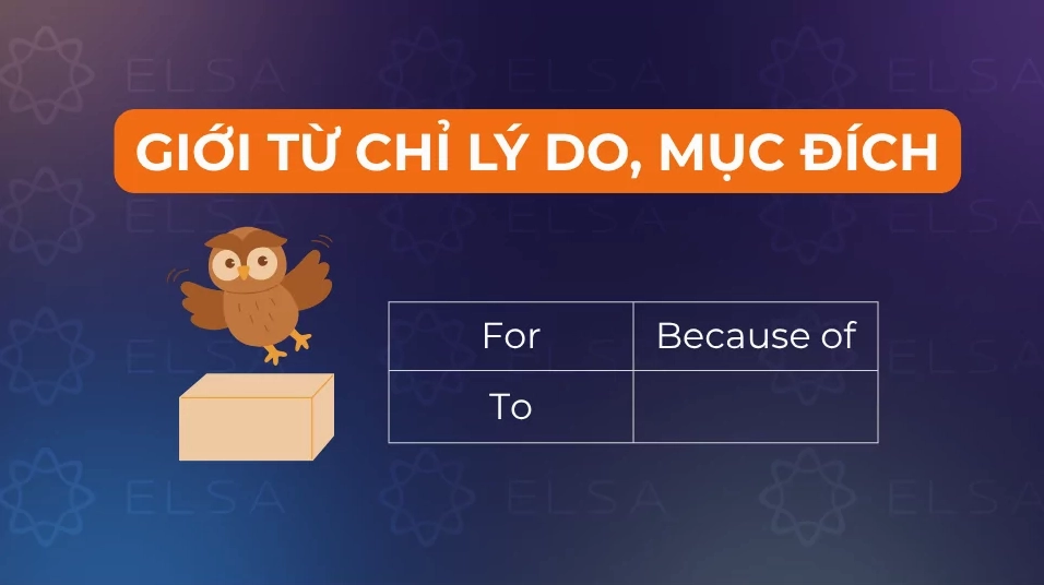 Một số giới từ chỉ lý do, mục đích trong tiếng Anh
