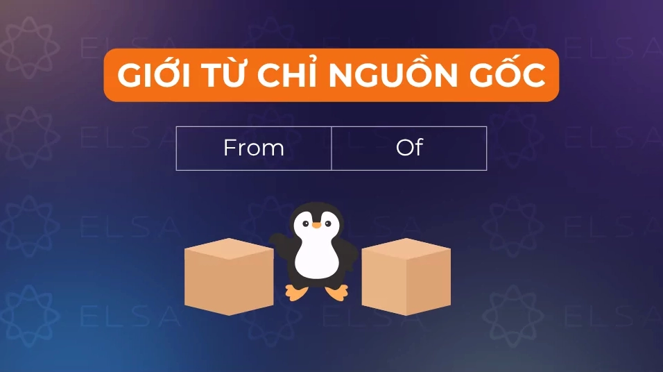 Một số giới từ chỉ nguồn gốc