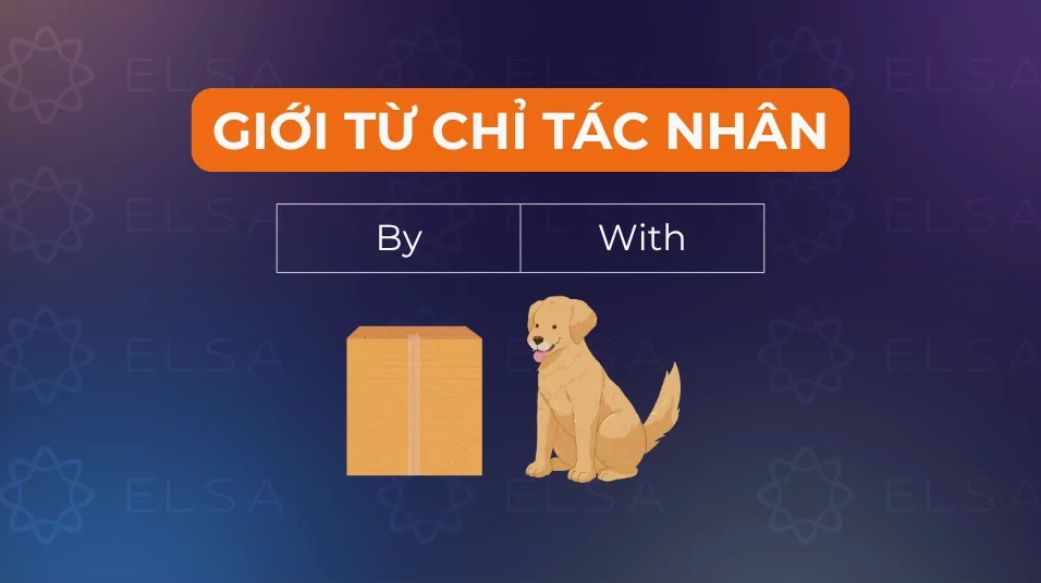Một số giới từ chỉ tác nhân trong tiếng Anh