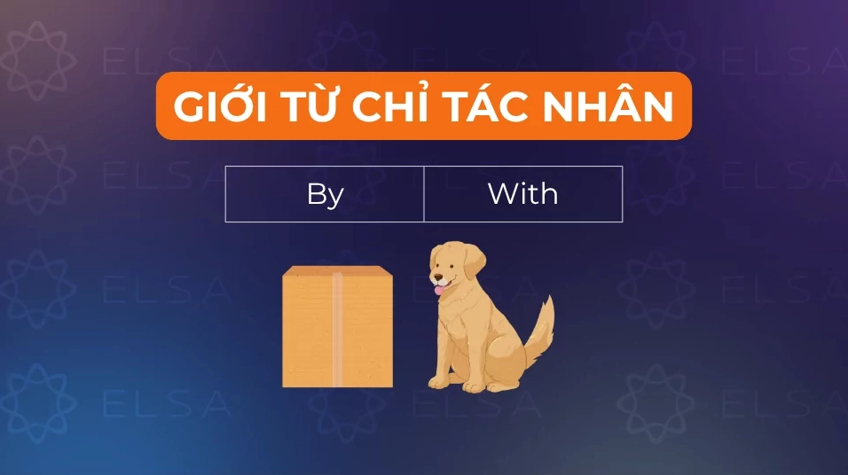 Một số giới từ chỉ tác nhân