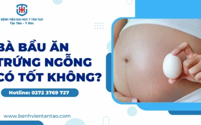 Nên ăn trứng ngỗng vào lúc nào trong ngày? Giải đáp chi tiết nhất 2026