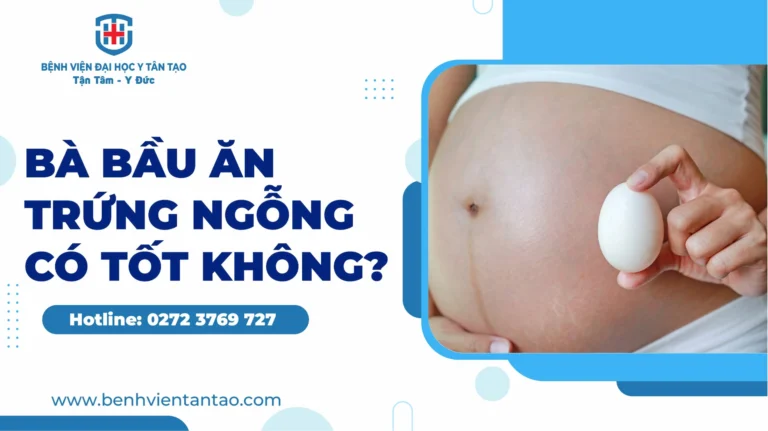 Nên ăn trứng ngỗng vào lúc nào trong ngày? Giải đáp chi tiết nhất 2026