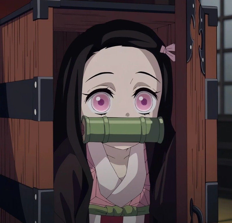 nezuko 8
