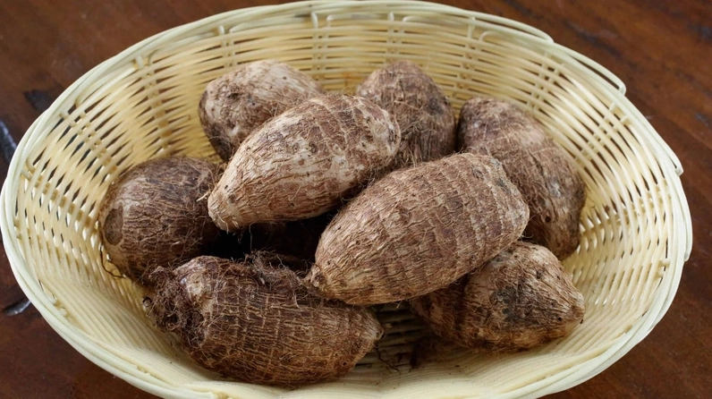 Người có vấn đề răng miệng cần cẩn trọng khi ăn khoai sọ