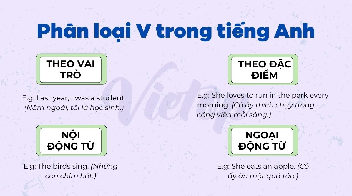 Phân loại động từ (V) trong tiếng Anh