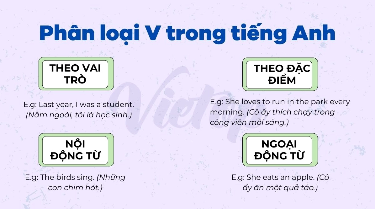 Phân loại V trong tiếng Anh