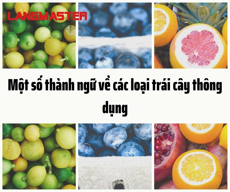 Quả dâu tây và các thành ngữ tiếng Anh