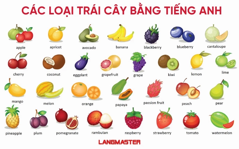 Quả táo trong tiếng Anh