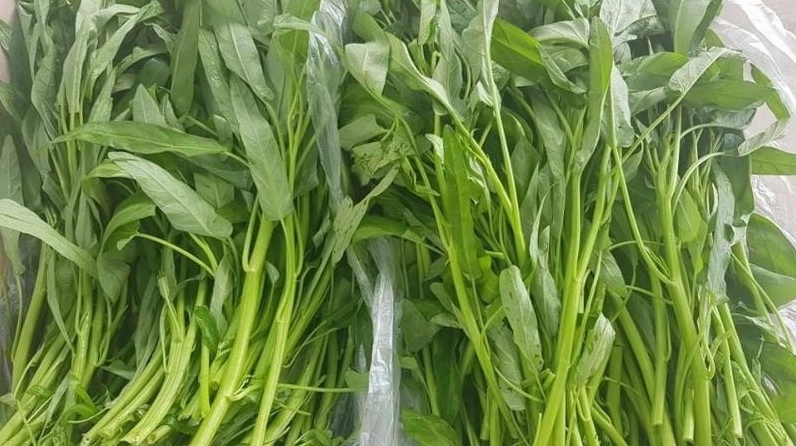 Rau muống tạo thành vết sẹo lồi gây mất thẩm mỹ