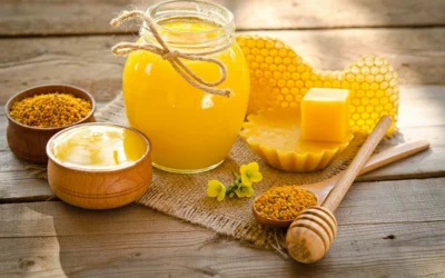 Rụng Tóc Nên Ăn Gì? 15+ Thực Phẩm Vàng Cho Mái Tóc Chắc Khỏe