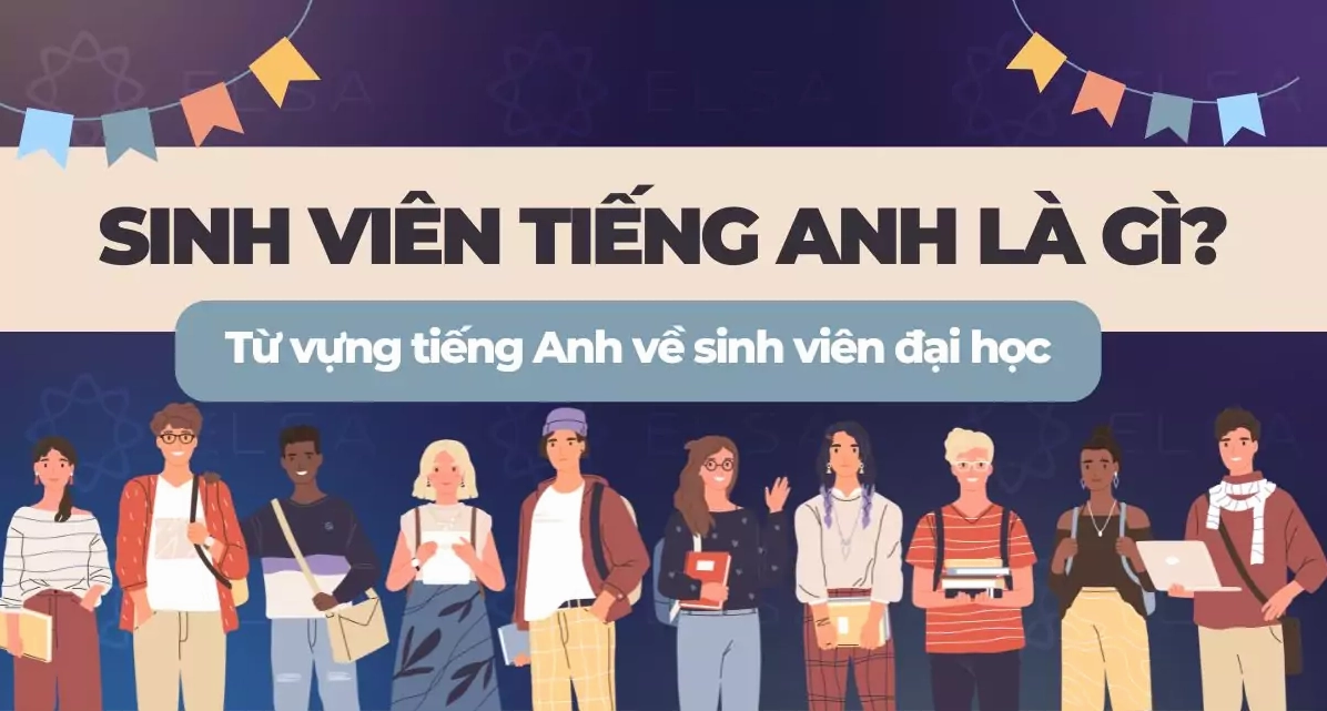 Sinh viên tiếng Anh là gì? Từ vựng tiếng Anh về sinh viên đại học đầy đủ nhất