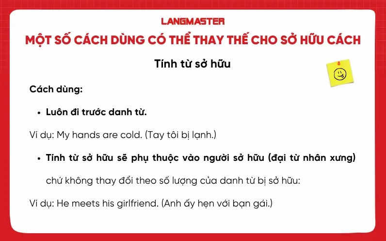 Sở hữu cách trong tiếng Anh và cách dùng tính từ sở hữu thay thế