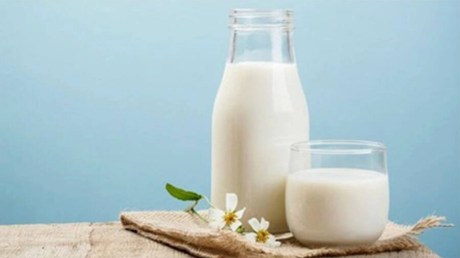 Sữa có thể ảnh hưởng đến quá trình lành vết thương