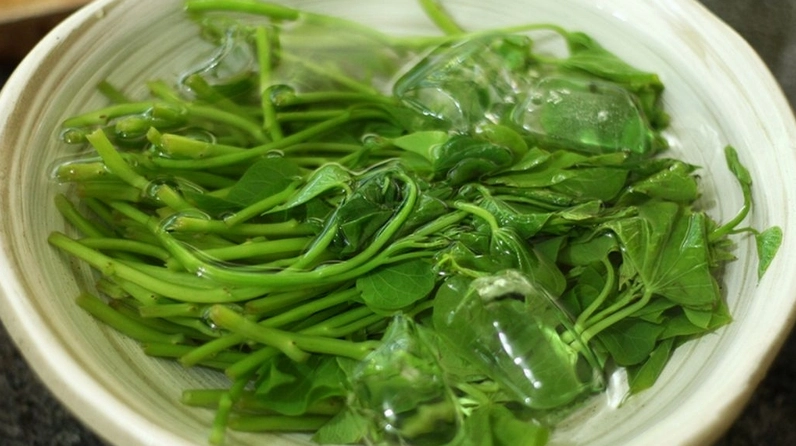 Tác hại của rau lang