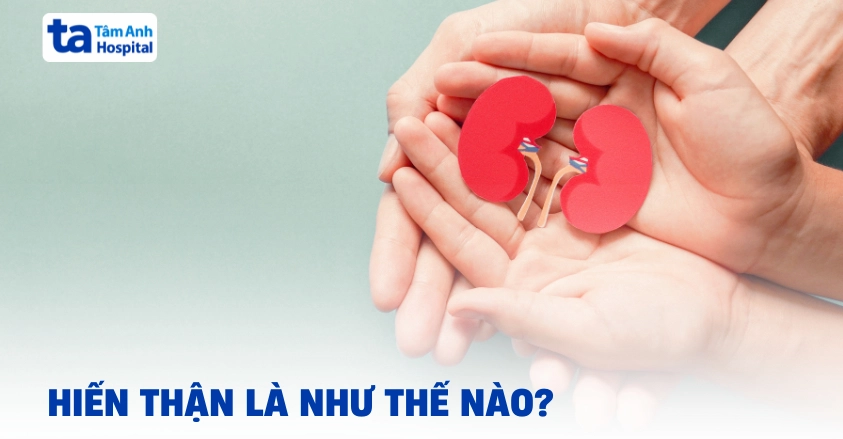 Thông tin về hiến thận.