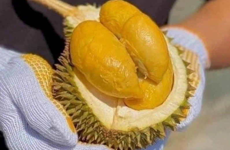 Thực phẩm gây đầy hơi cần tránh trước nội soi niêm mạc