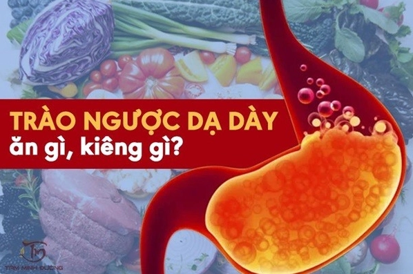 Trào ngược dạ dày nên ăn gì? Cẩm nang chi tiết 2026