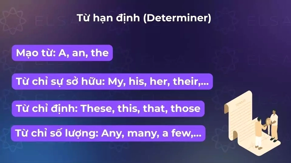 Từ hạn định giúp xác định và giới hạn danh từ/cụm danh từ