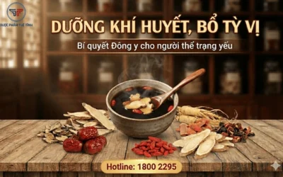 Tỳ Vị Yếu Nên Ăn Gì? Tuyệt Chiêu Cải Thiện Chức Năng Tiêu Hóa
