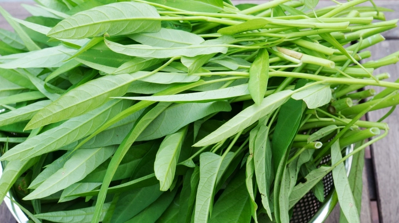 Vết thương hở kiêng ăn gì?