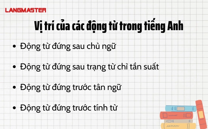 Vị trí của các động từ trong tiếng Anh